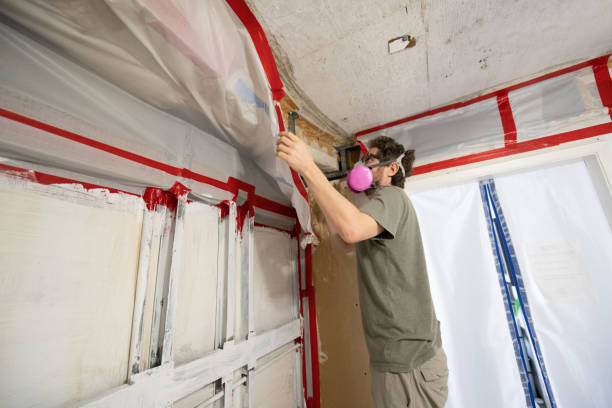 Best Emergency Mold Remediation  in Ogden, UT